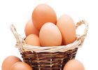  जानिए रोज अंडा खाने के क्या हैं फायदे