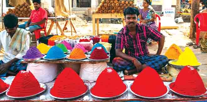 holi-4 holi-4
