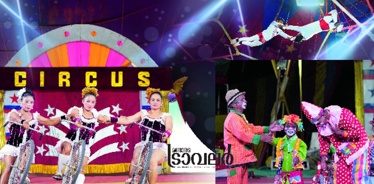 1circus