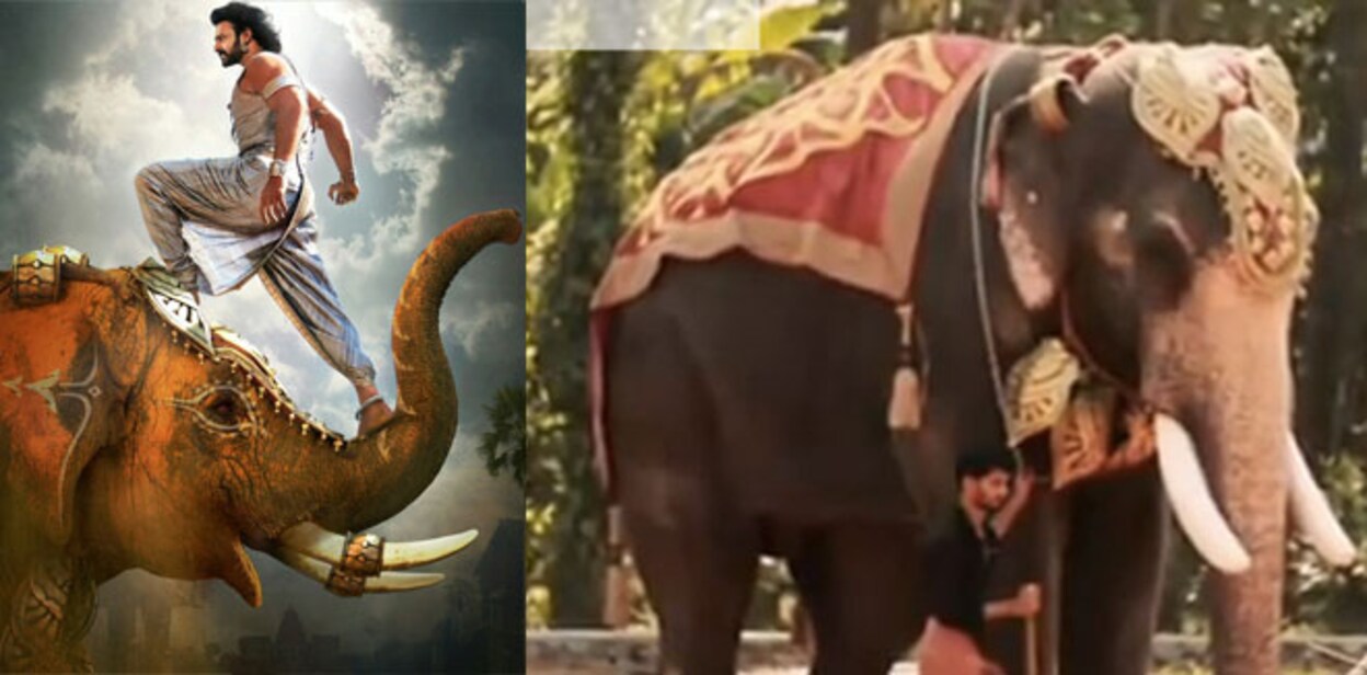 c-kalidasan-e