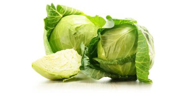 cabbage-2