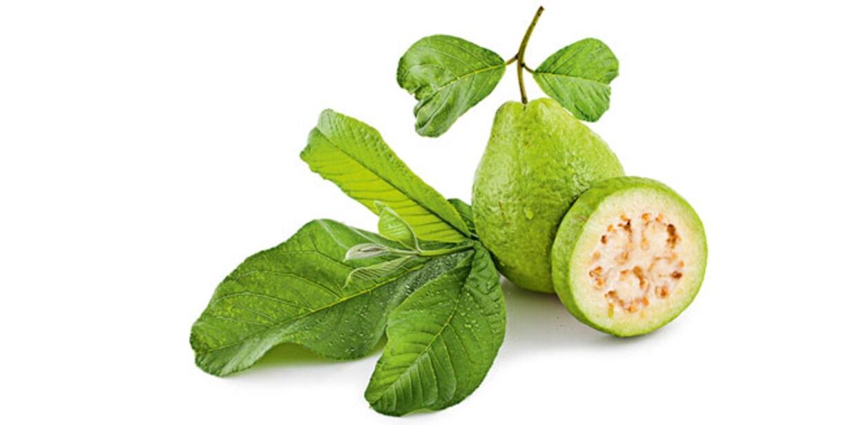 guava