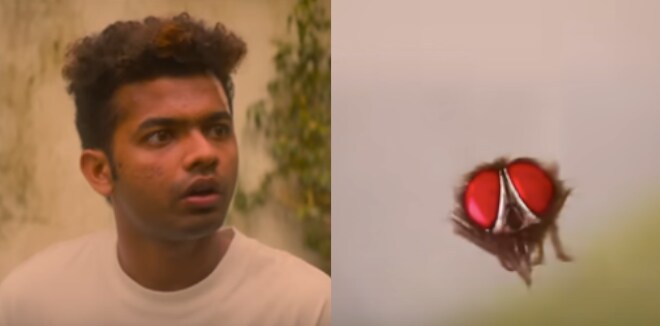 ഈച്ച പ്രധാന വേഷത്തിൽ, മാത്യു തോമസിന്റെ ‘ലൗലി’ വരുന്നു: ടീസർ ശ്രദ്ധേയമാകുന്നു