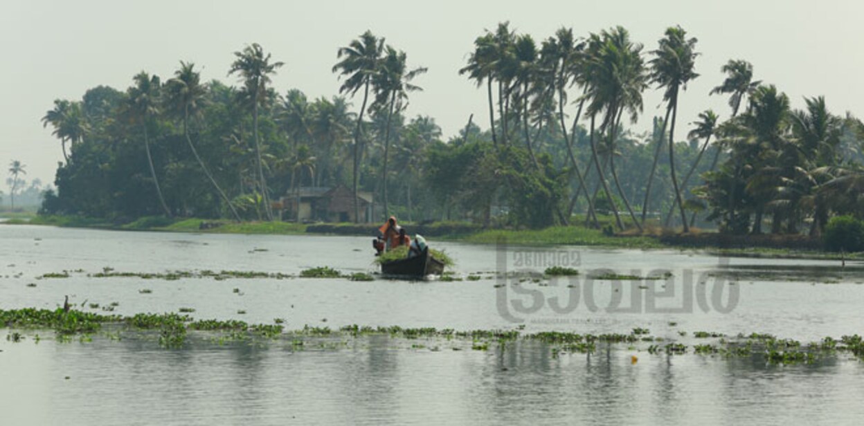1-Pazhukanilam