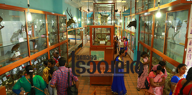 9)-Kodaikanal-Museum