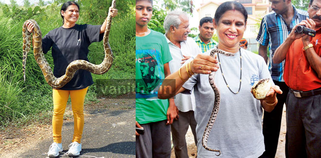 snake-vidhya1