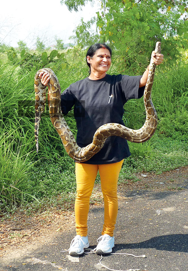snake-vidhya2