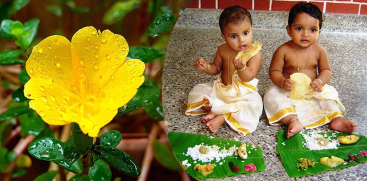 pilleronam999097