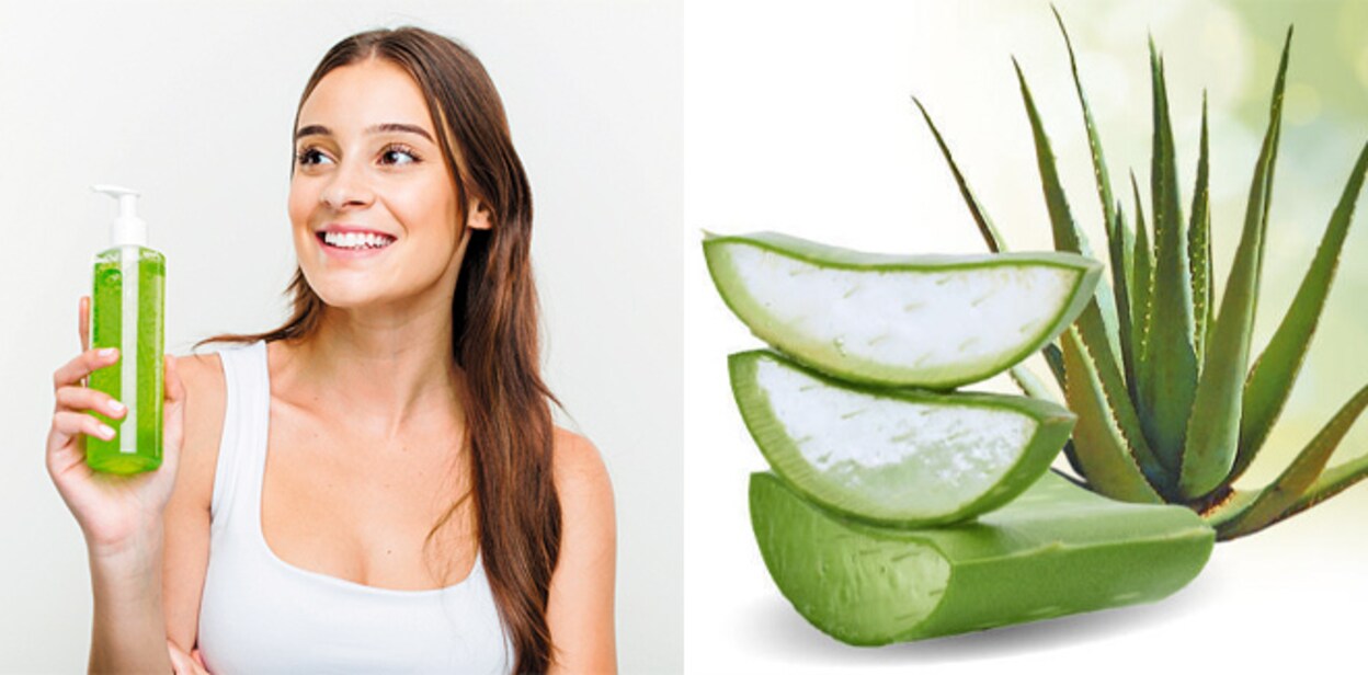 aloevera