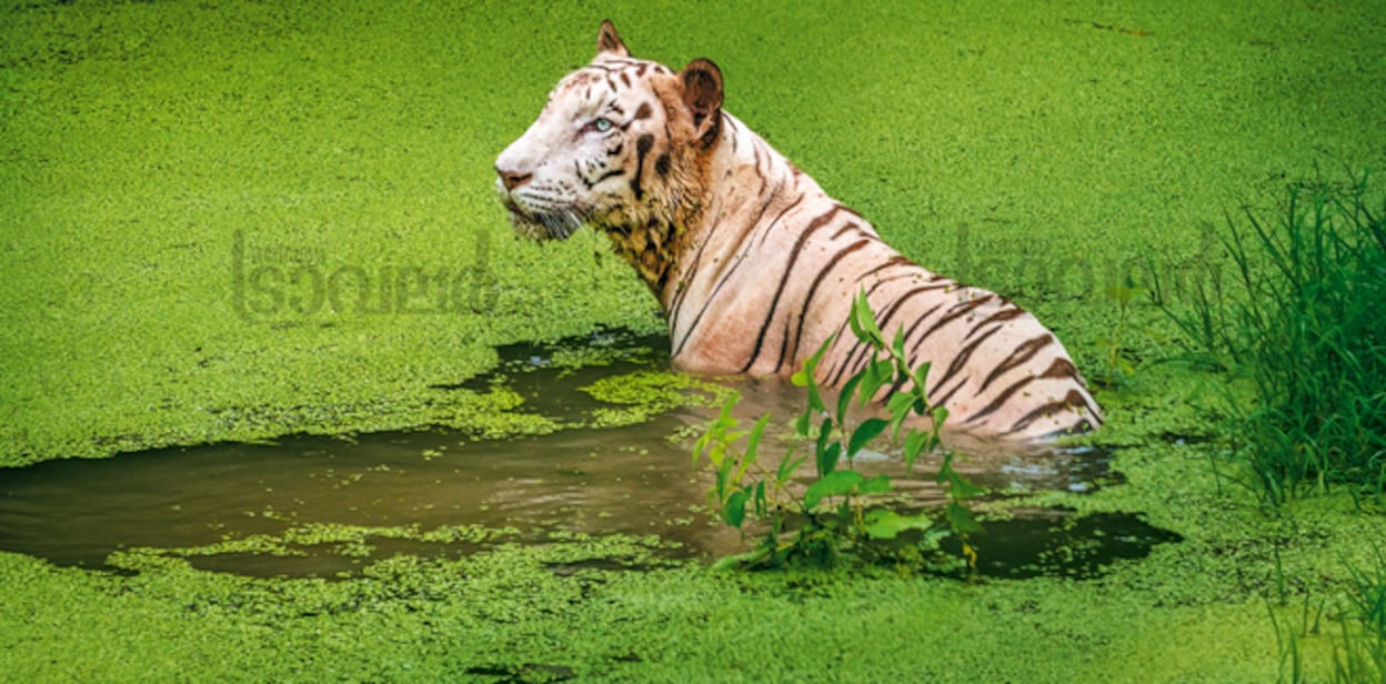 shutterstock_503642047