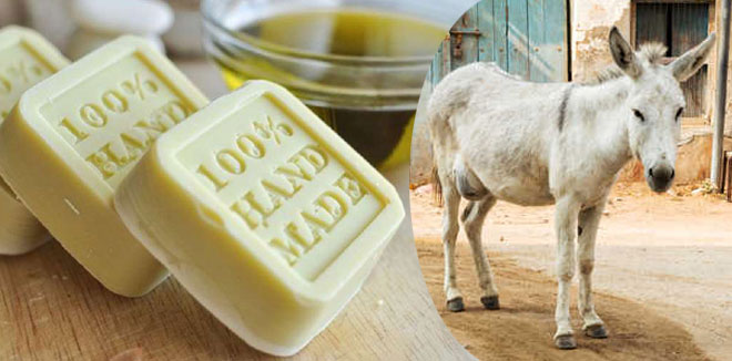 donkey-milk-soap23