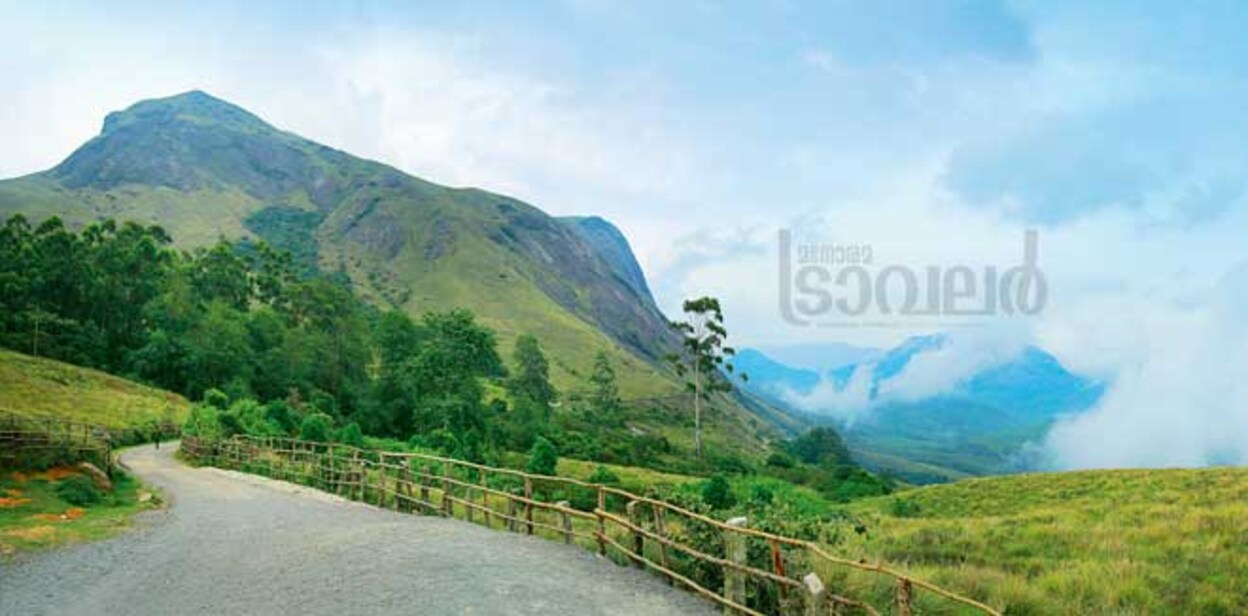 Munnar