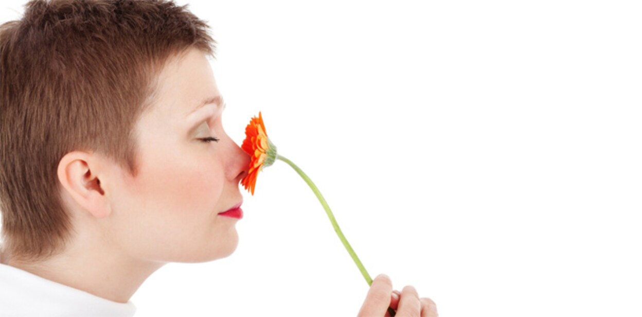 smell