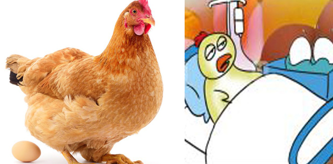 hen-egg