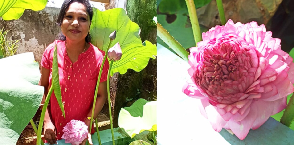 molamma