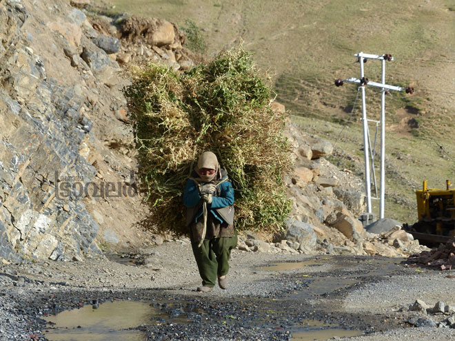 53.-WOMAN-CARRYING-LOAD-,MUD