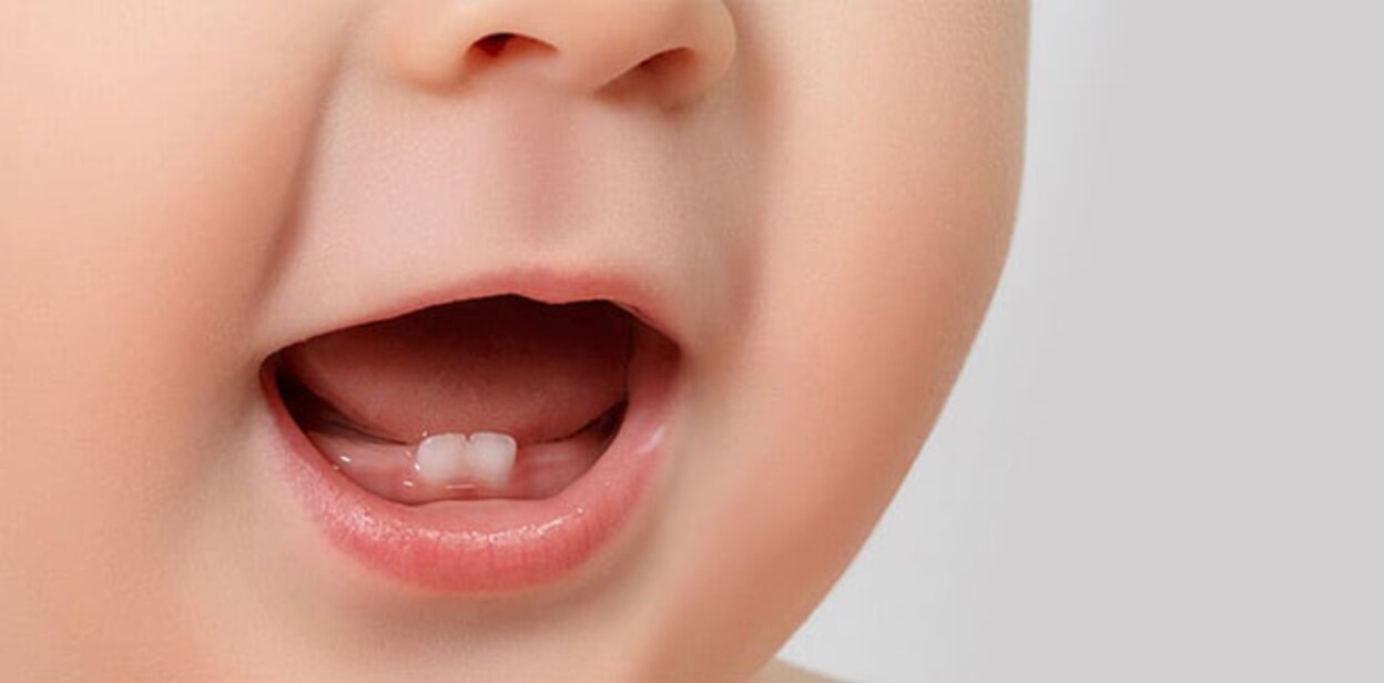 teeth