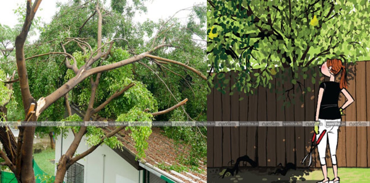 tree-brancchh4455fhh