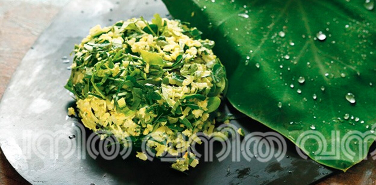 pathila-thorann66677