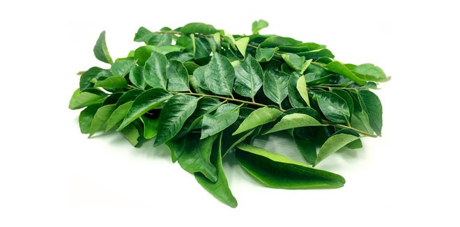 curry-leaves33344