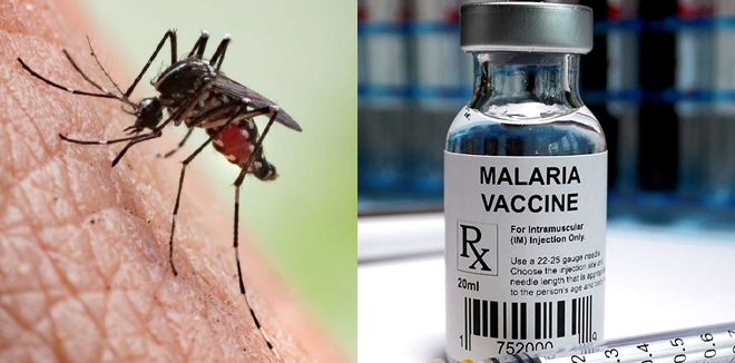 malaria-vaccineee4455