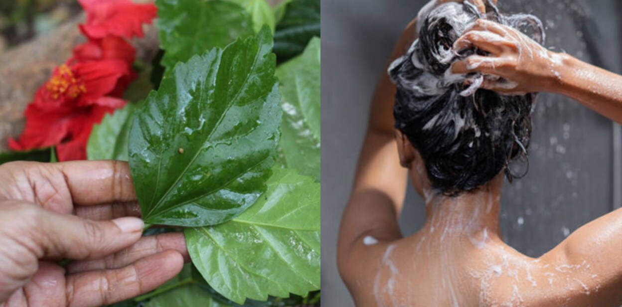 natural-shampoo765444dff