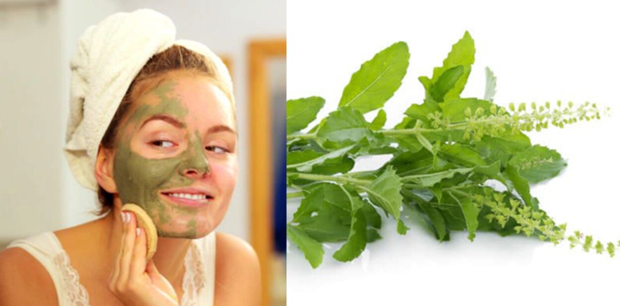tulsi77757779