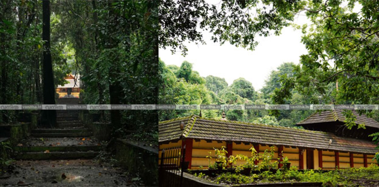 Iringolkavu