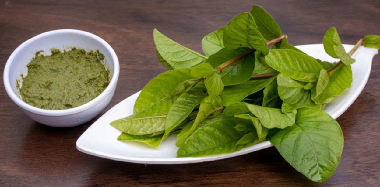 guava-leaves-face-pack
