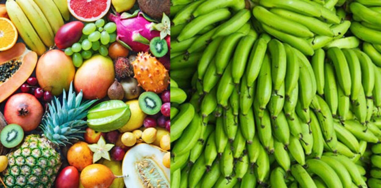 fruits6644bjhju