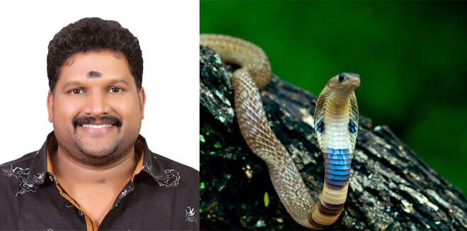 കുഞ്ഞിന് അരികിൽ പാമ്പ്, വെപ്രാളത്തിൽ തല്ലിക്കൊന്നു... എന്റെ കുട്ടിക്ക് സർപ്പദോഷം വരുമോ? മറുപടി 