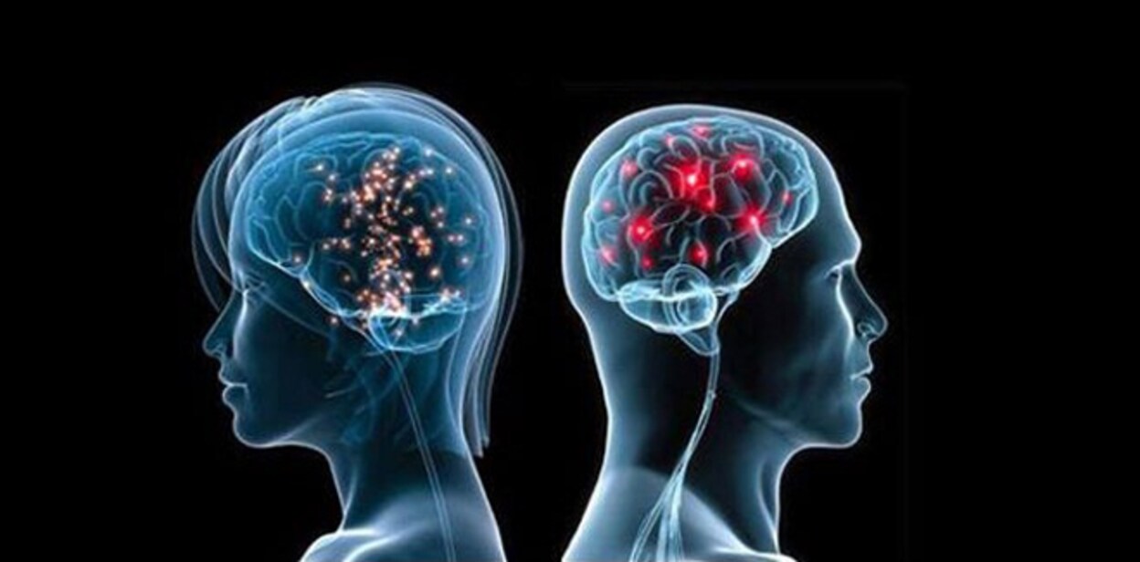 male-vs-female-brain