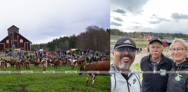 kuslap-sweeden-cow-festival-ginu-farm-owners
