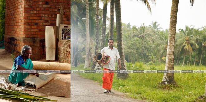 കൈതോലയിൽ ചന്തം വിരിയും തഴവ; തഴപ്പായനിർമാണം കൊണ്ട് പേരിൽ വരെ ‘തഴ’യുള്ള കൊല്ലം ജില്ലയിലെ  ഗ്രാമം