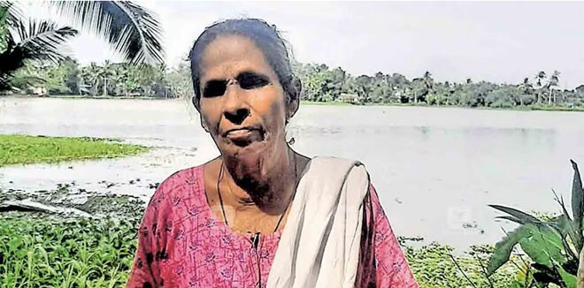 സപ്ലൈകോയ്ക്ക് നൽകിയത് 7039 കിലോ നെല്ല്: 72–ാം വയസിലും കഷ്ടപ്പെടുന്ന അന്നമ്മയുടെ ദുരിതം കാണാതെ പോകരുത്