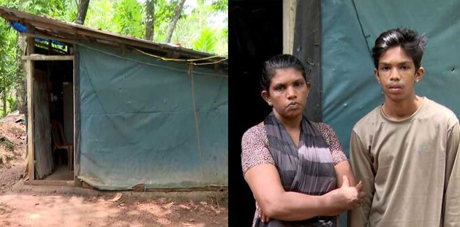 തെങ്ങു വീണ് വീട് തകര്‍ന്നു; ബ്ലേഡ് തട്ടിയാല്‍ കീറുന്ന ‘ചുമരുള്ള’ വീട്ടില്‍ മക്കള്‍ക്കൊപ്പം ഭയന്നു ജീവിച്ച് സെലീന, ദുരിത ജീവിതം