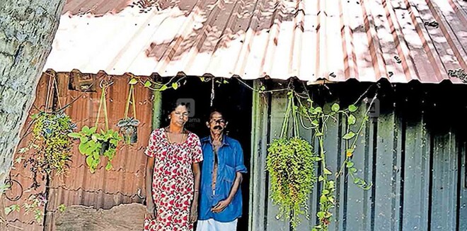 20 വർഷമായി ഷീറ്റ് മേഞ്ഞ ഒറ്റമുറി വീട്ടിൽ; കനത്ത മഴ പെയ്താൽ മുട്ടറ്റം വരെ വെള്ളം! കടലാസിൽ കുടുങ്ങി സജീവന്റെ വീടെന്ന സ്വപ്നം