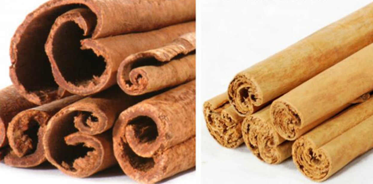 casia-cinnamon