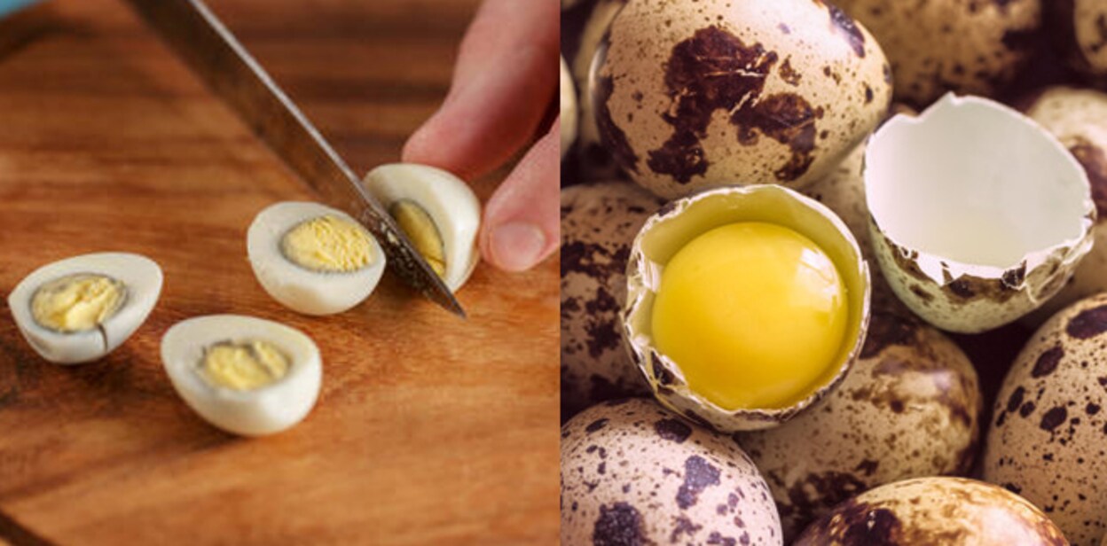 kada-egg66777