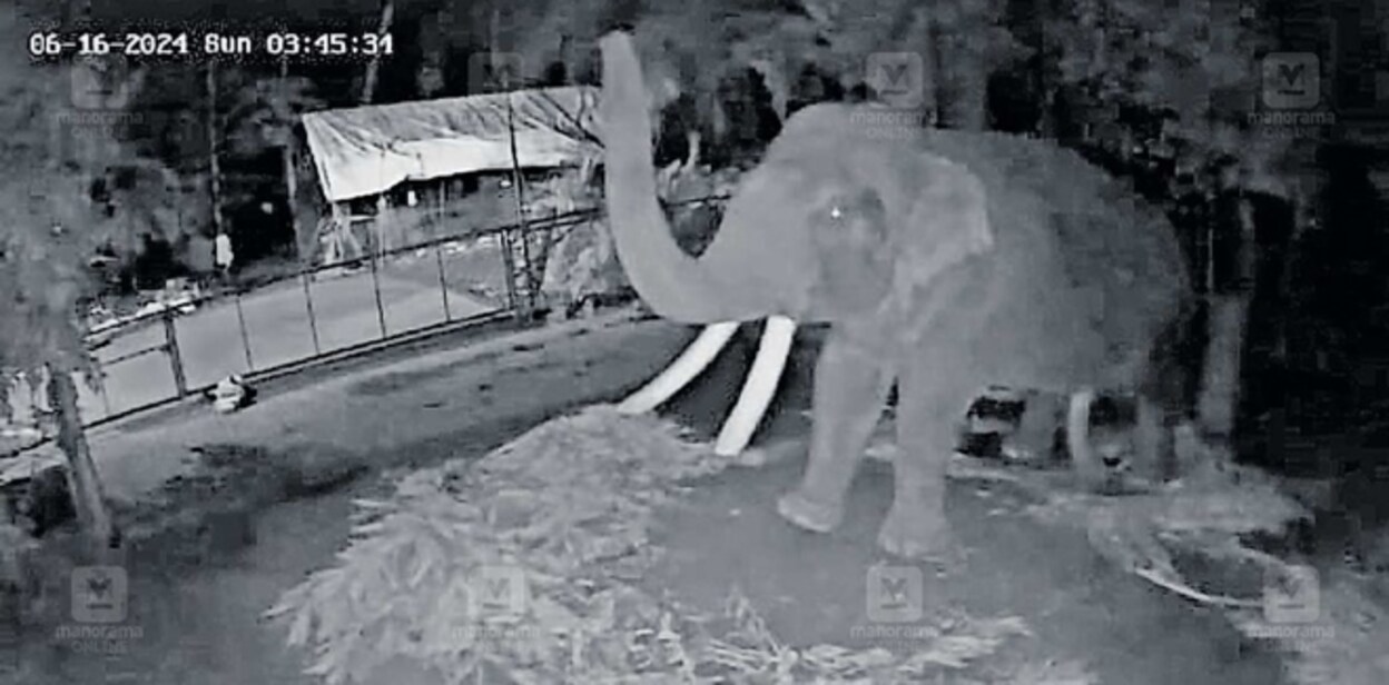 thrissur-earthquake-elephant-fearing