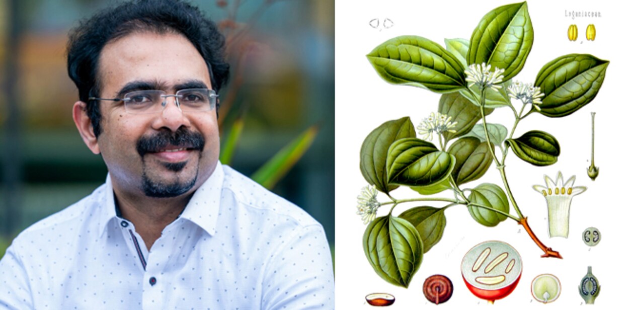 suresh-c-pillai-plants
