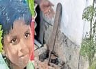'ചിരിച്ചുകൊണ്ട് ഓടിപ്പോയി, പിന്നെക്കണ്ടത്..'; കുഴിയാനകളെ പിടിച്ചു കളിക്കുന്നതിനിടെ അപകടം! തീരാവേദനയായി ഹാമിൻ