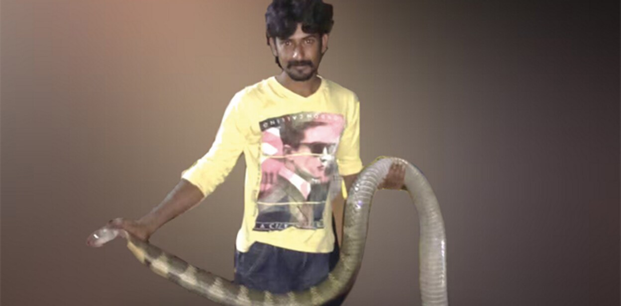 sajuuu-snake