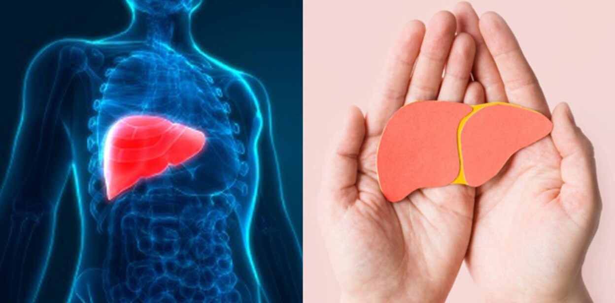 liver456777