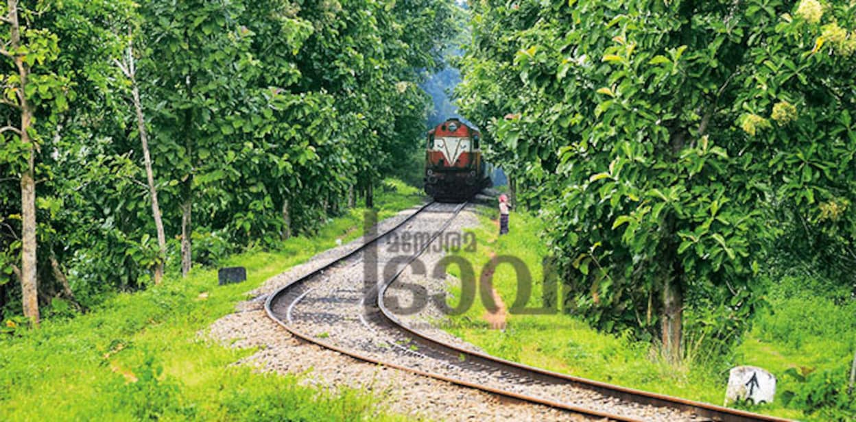 nilamburbroad_guage