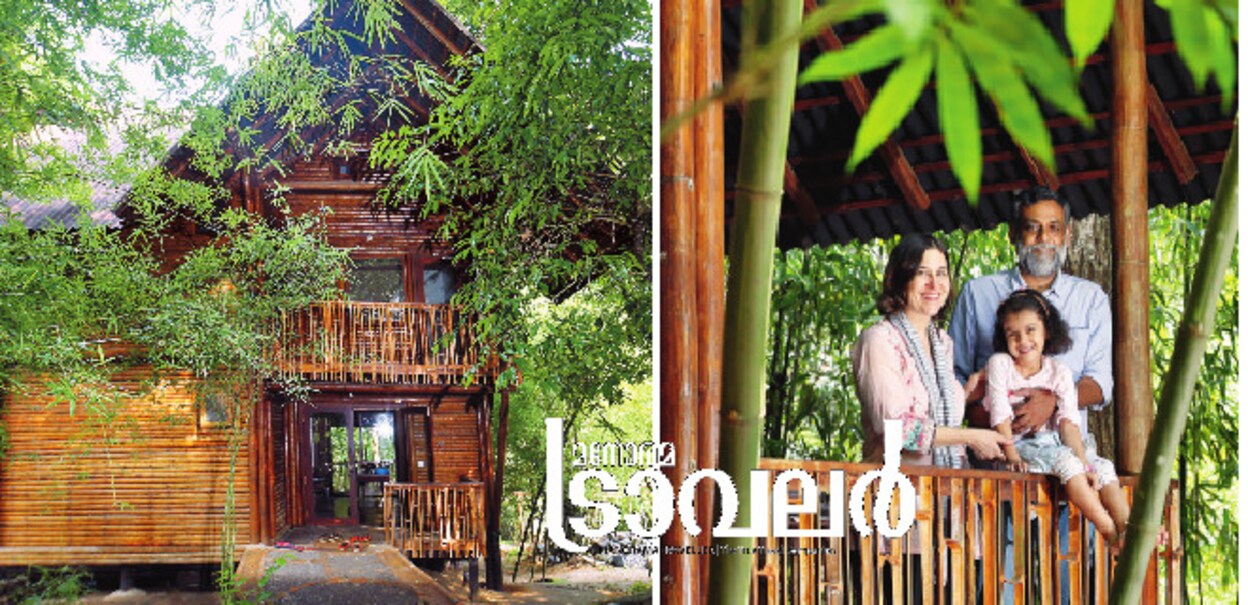 1-bamboo2