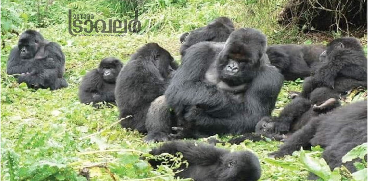 kwitaizina1