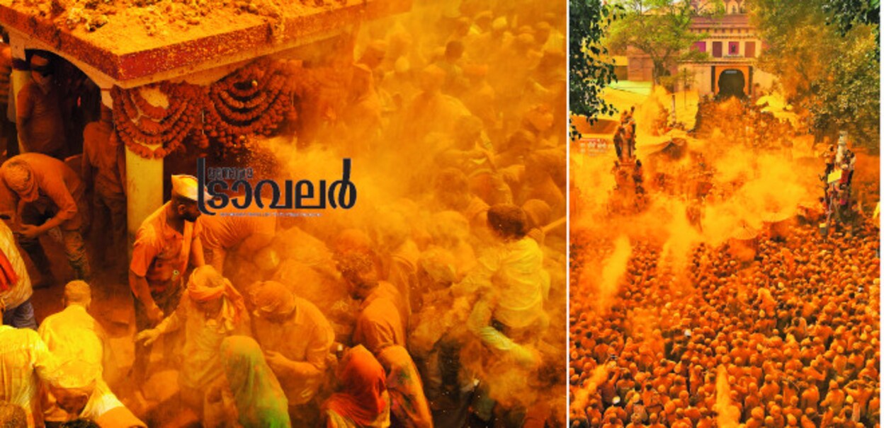 1-birdev