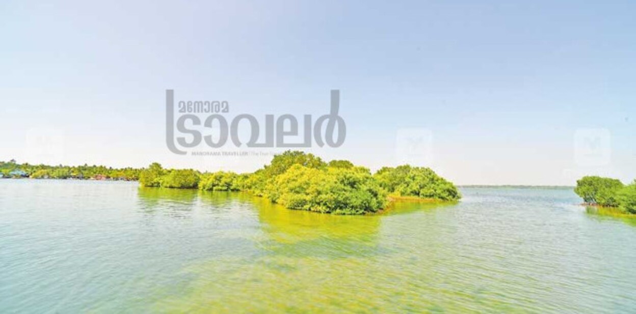 sambranikodi01