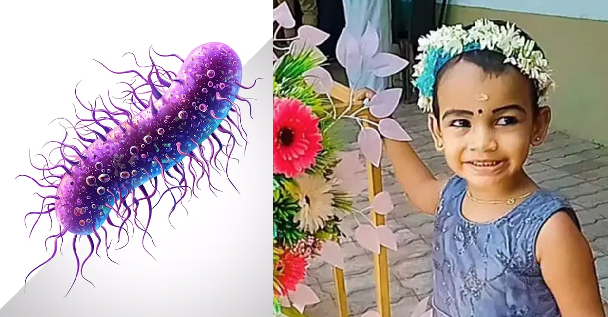 shegella-virus-kerala